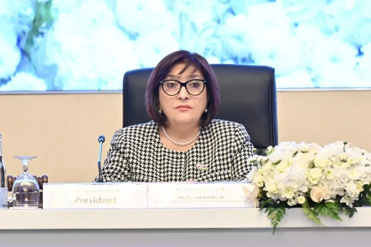 Azerbaijani parliament speaker calls for greater unity among Muslim nations At OIC conference