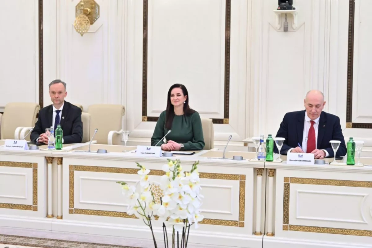 Azerbaijan, Lithuania pledge closer economic, cultural cooperation PHOTO
