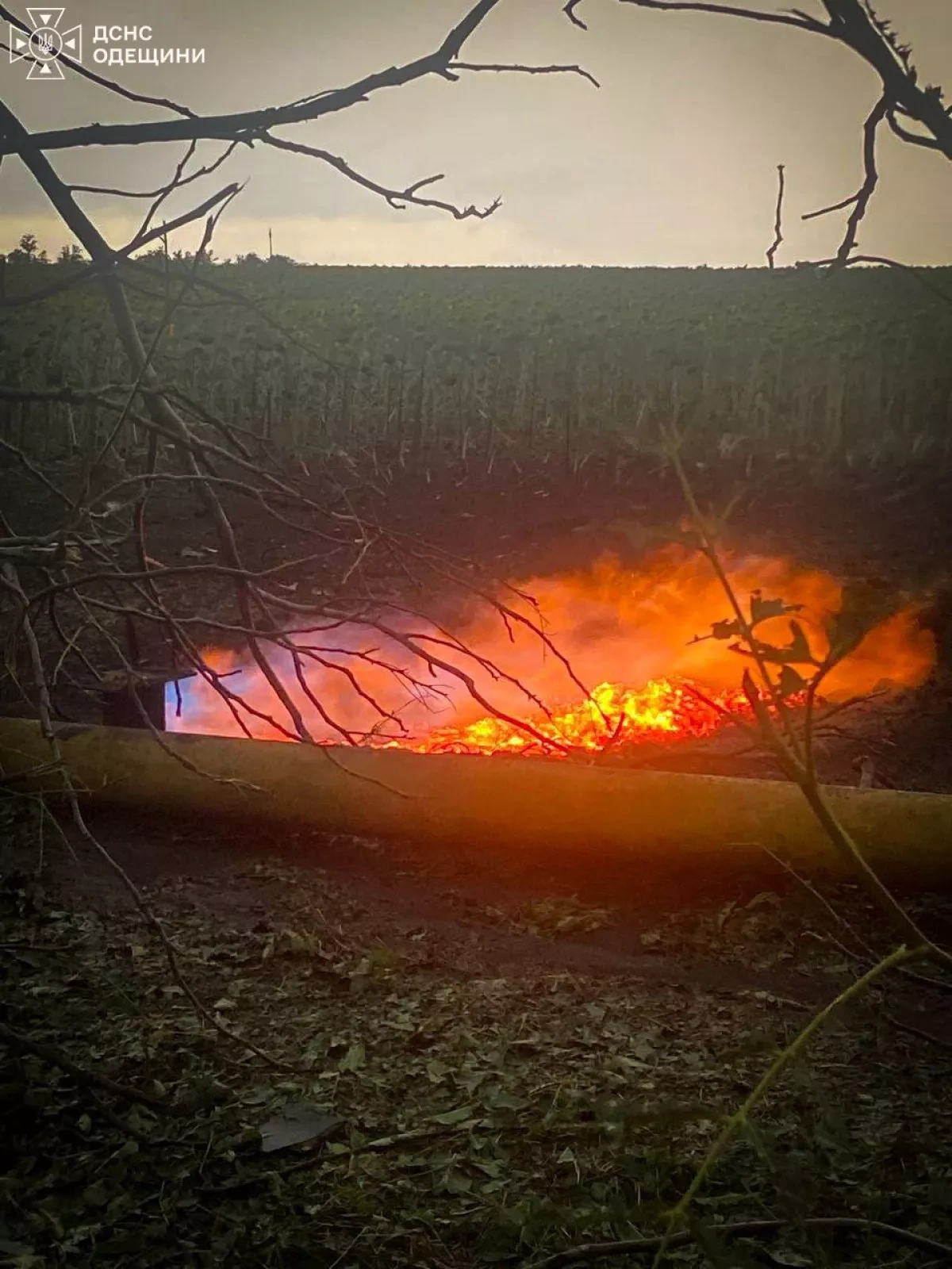 Russian drone attacks on Kyiv, Odesa regions leave one dead, five injured PHOTO