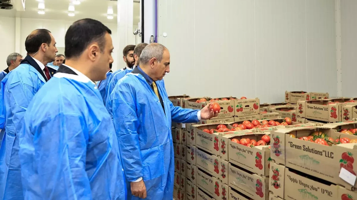 Armenia to support exporters hit by Russian import restrictions, says Pashinyan