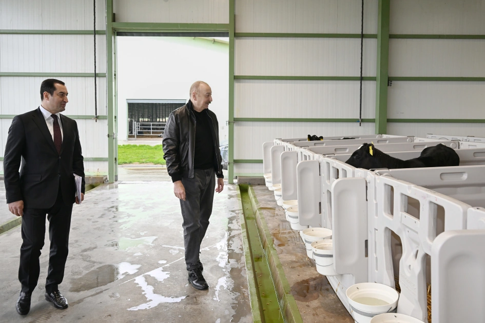 President Ilham Aliyev attends opening of Shirvan Agro livestock complex in Shamakhi (PHOTO)
