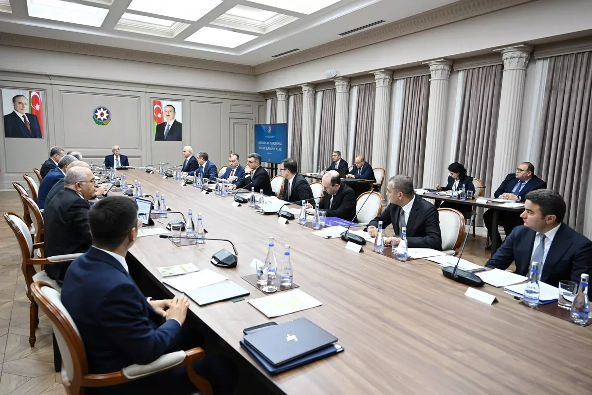 Azerbaijan reviews tourism sector challenges at economic council meeting