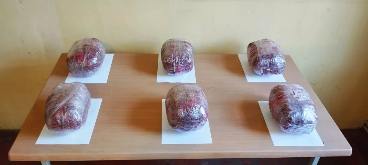 June border sweep in Azerbaijan: 21 detained, 6 drones intercepted PHOTO