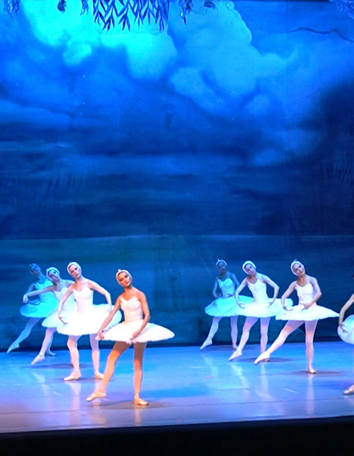 All tickets sold out for Swan Lake ballet in Azerbaijan's Baku (VIDEO)