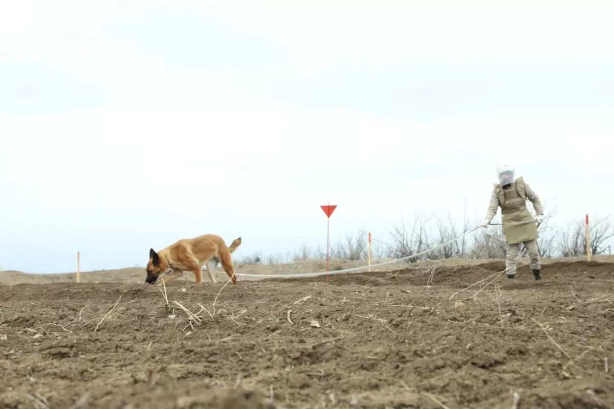 Foreign media reps briefed on humanitarian demining in Karabakh PHOTO