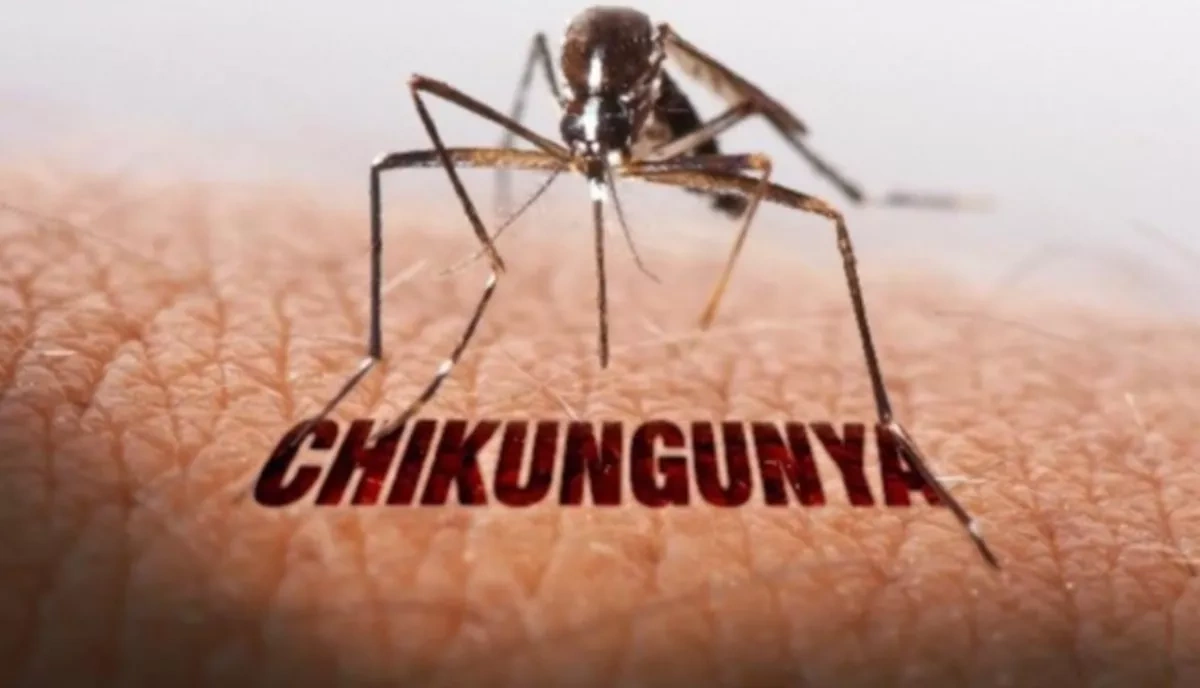 Armenia registers first case of chikungunya fever