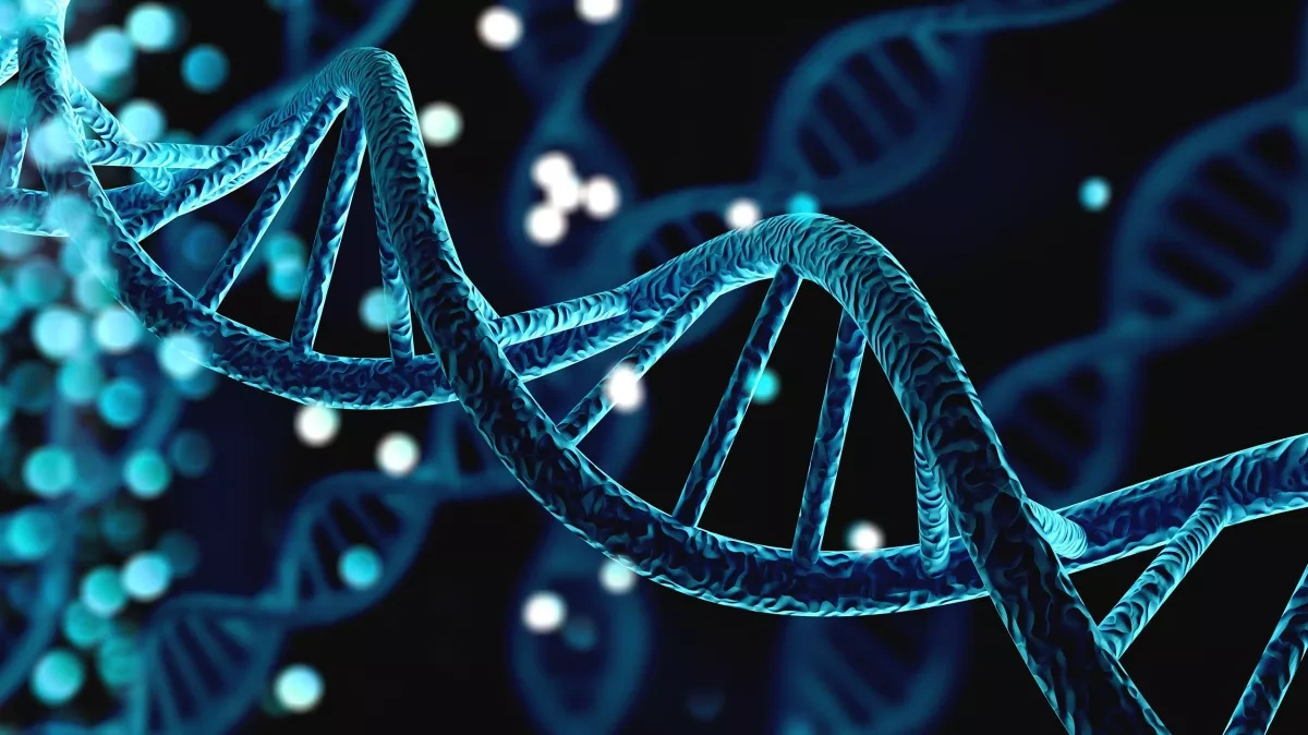 Study finds people carrying more DNA from Ice Age hunter-gatherer likely live longer