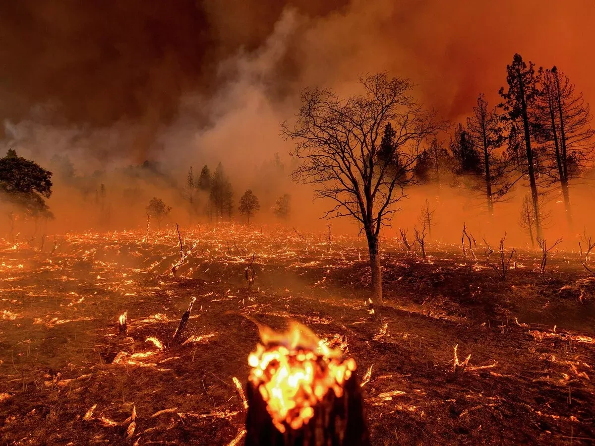 Forest fires in Russia’s Krasnoyarsk region expand to 519,600 hectares