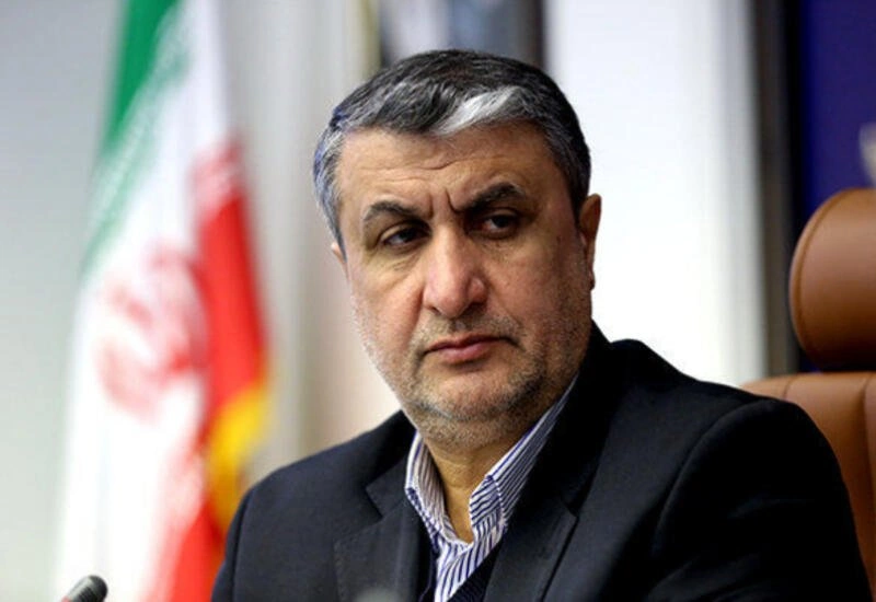 Iranian official calls on IAEA to outline clear steps for country