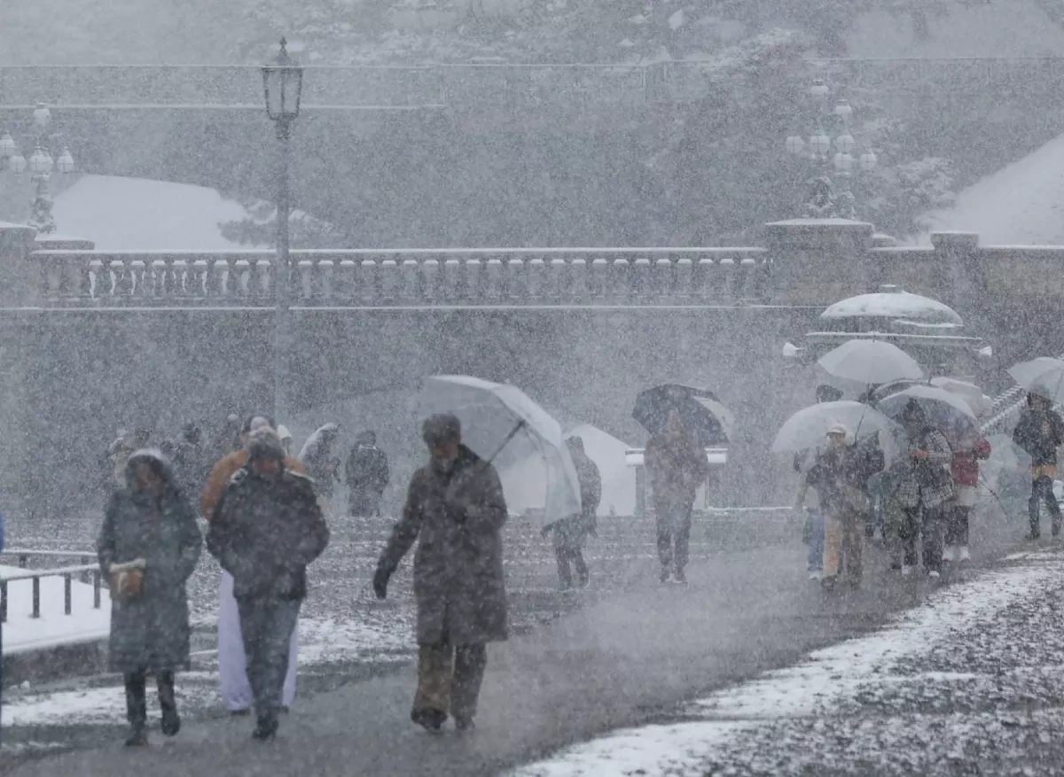 Heavy snowfall kills 46, injures hundreds in northern Japan