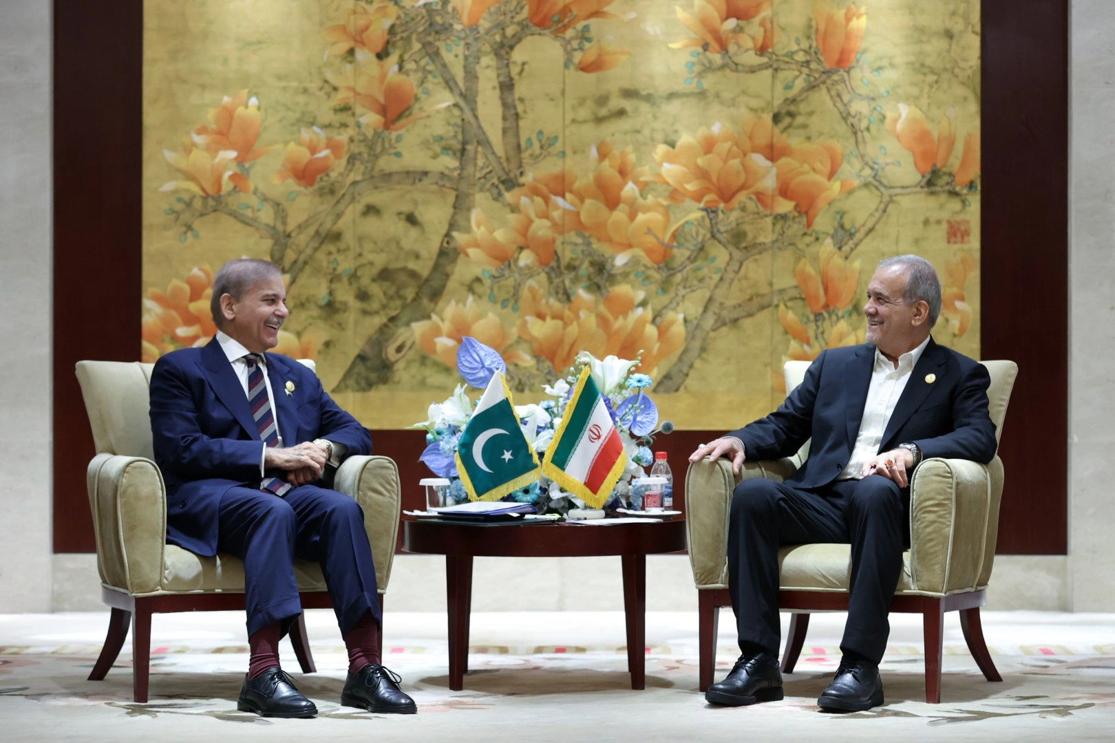 Pakistani PM discusses situation in Middle East with Iranian President