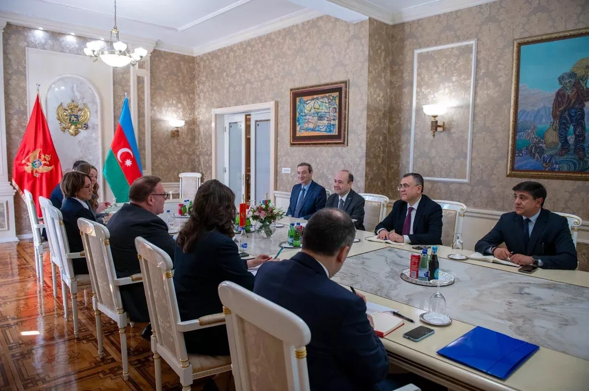 Azerbaijan, Montenegro hold second round of political consultations in Podgorica PHOTO