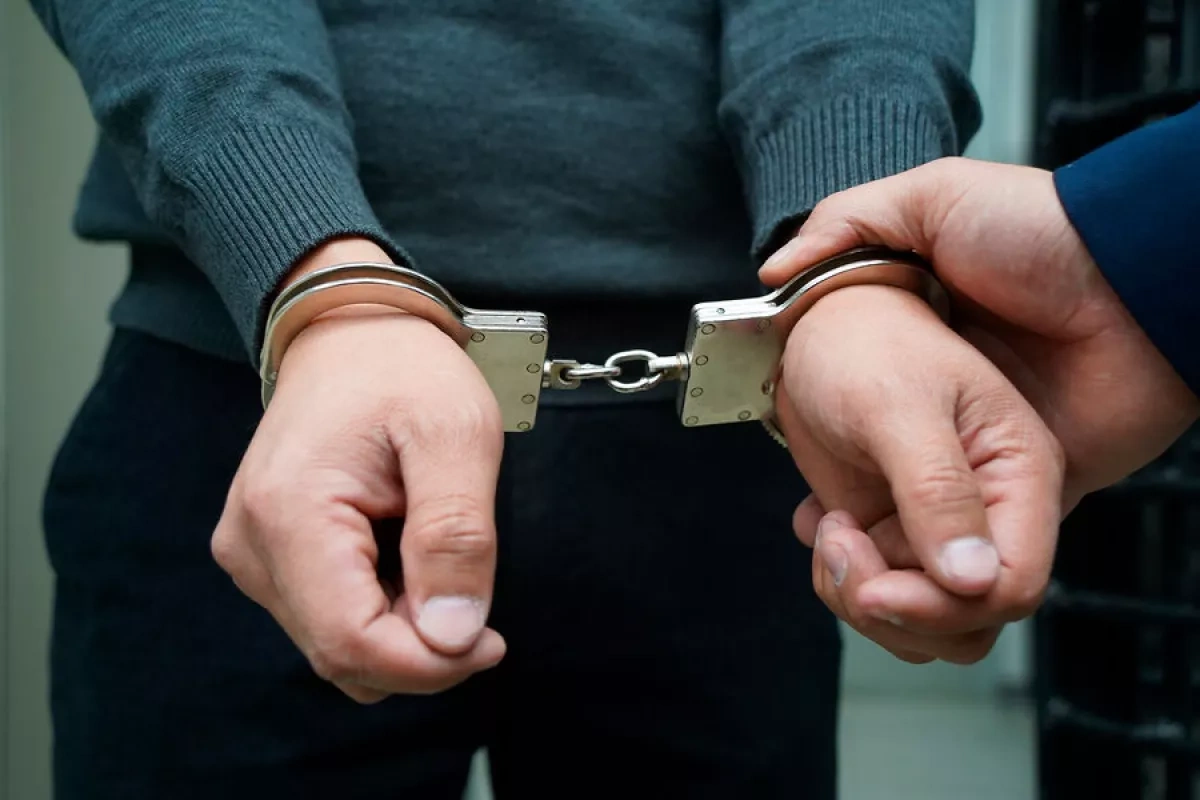 Dog trainer arrested in US after death of 11 dogs