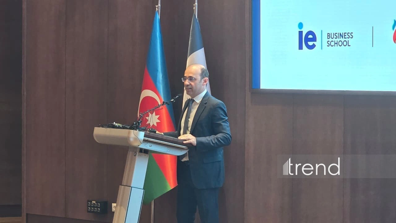 Leadership quality determines companies' competitiveness - PASHA Holding CEO