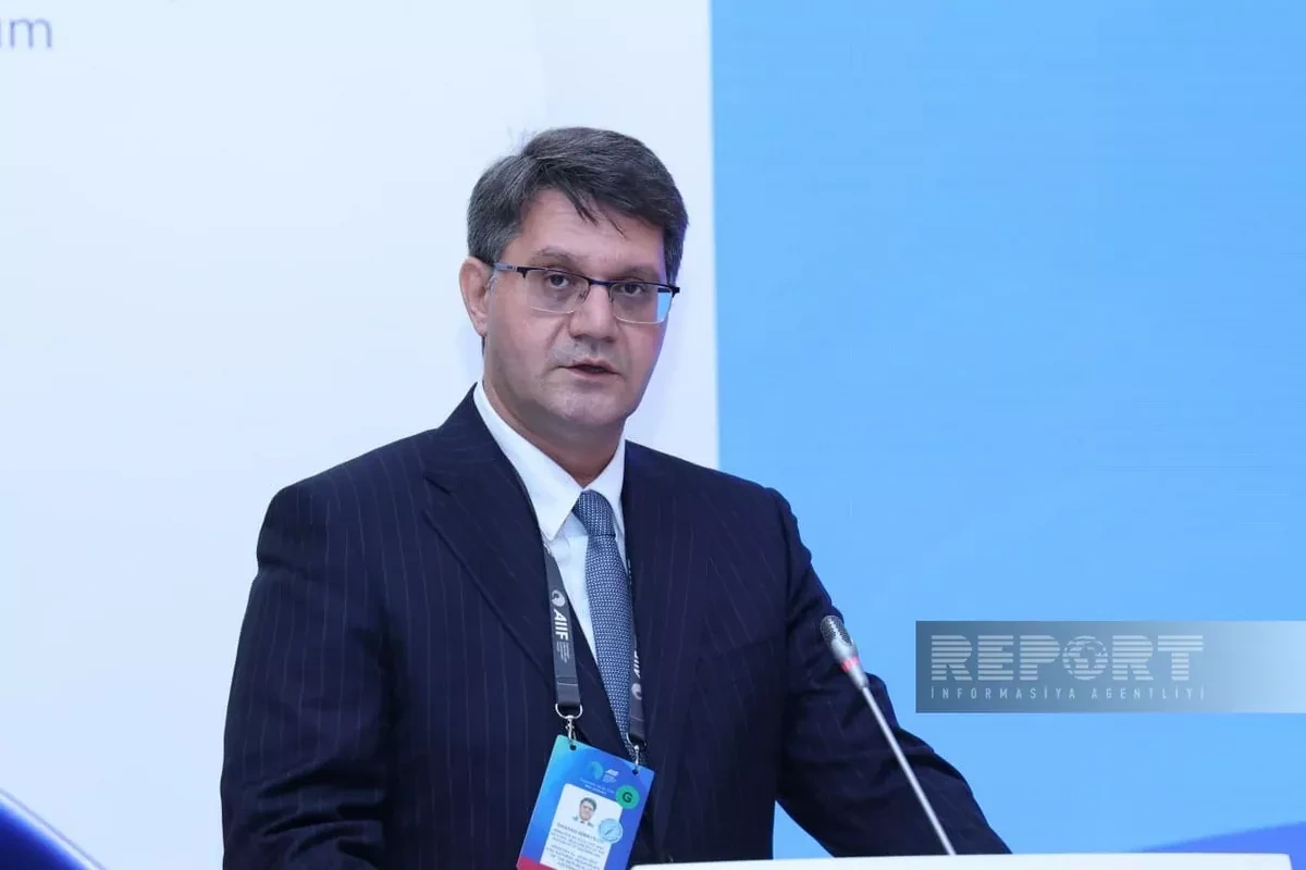 Azerbaijan aims to diversify global critical mineral supplies, minister says