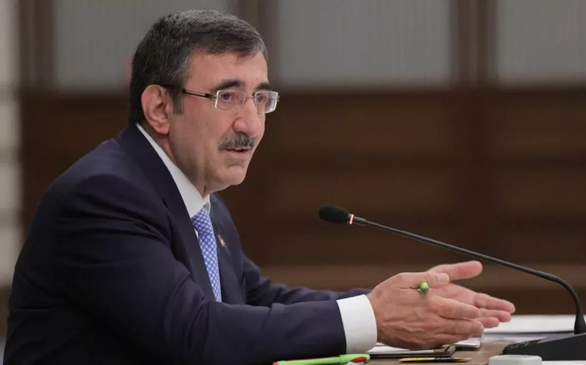Turkish VP highlights peace, cooperation for Turkic world prosperity
