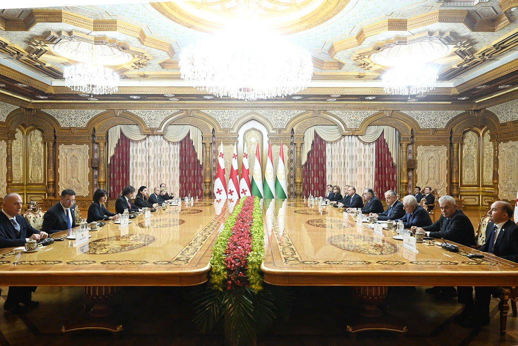 Tajikistan and Georgia discuss current state and prospects of bilateral relations