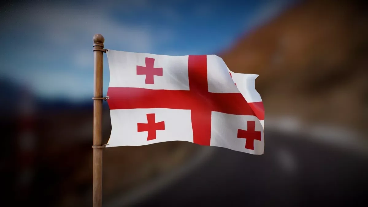 Georgia expels 57 foreign nationals for overstaying visas