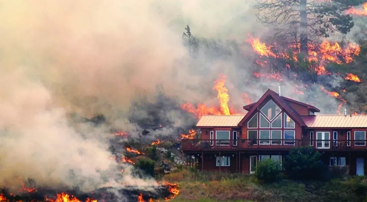 NBC News: Wildfires in United States leave people homeless