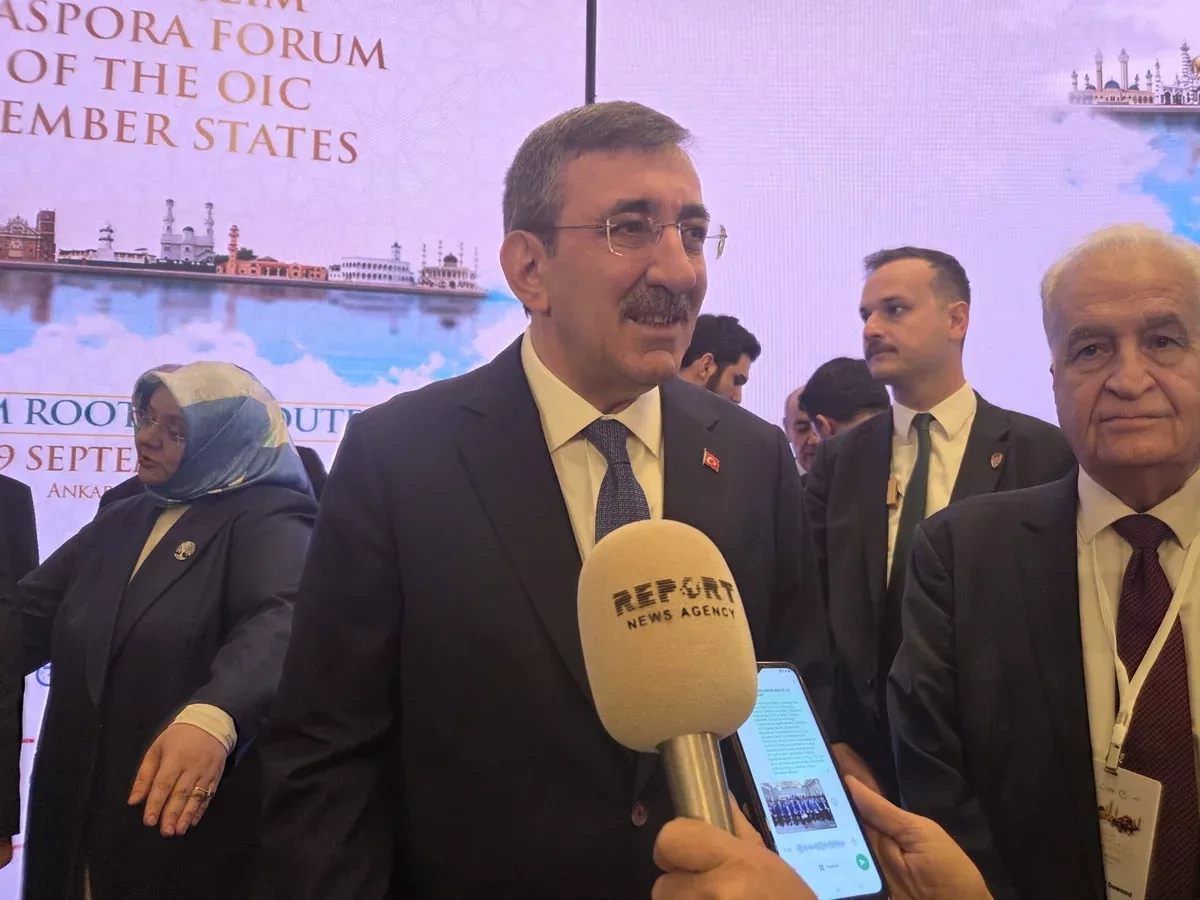 Turkish VP: Azerbaijan has strong diaspora