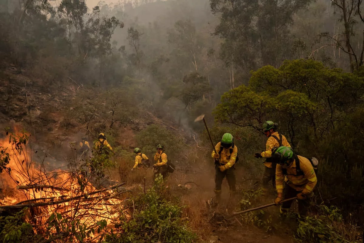 Deadly wildfire tears through Andalusia, Spain VIDEO