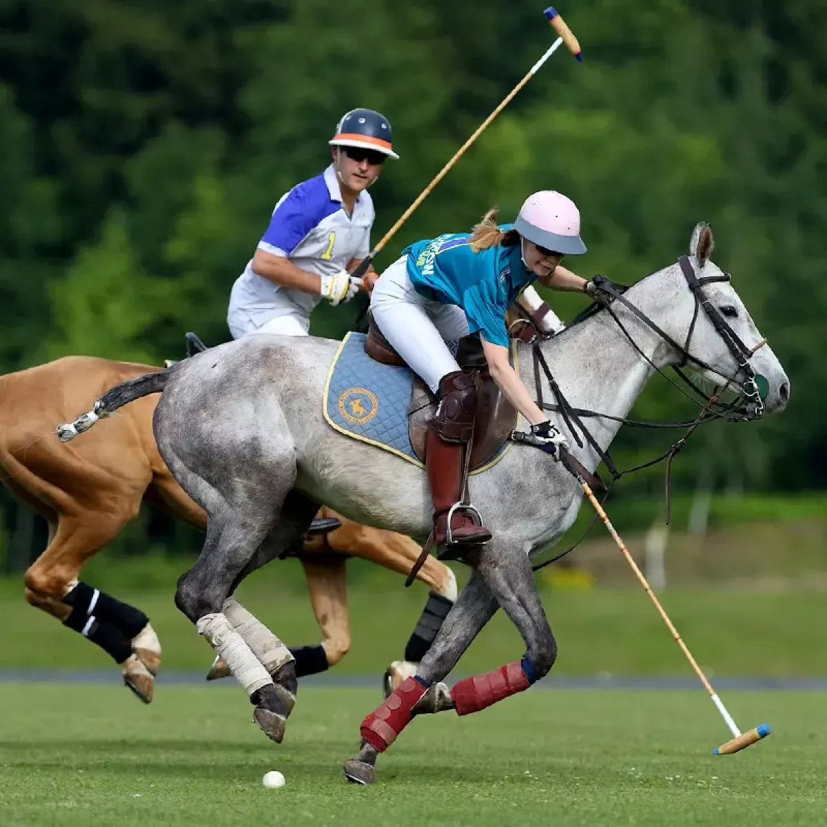 Baku to host international beach polo tournament at Sea Breeze PHOTO