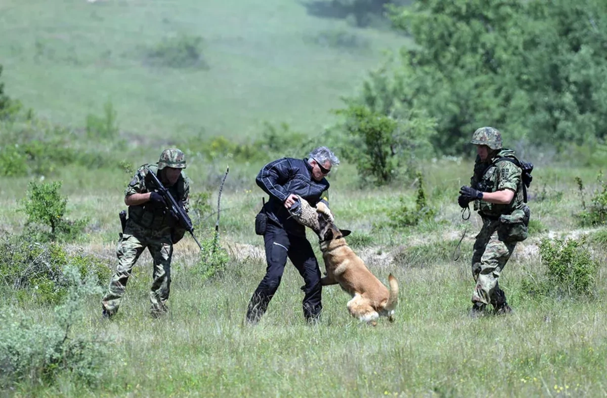 Defence chief Hasanov watches Azerbaijani troops at Platinum Wolf 26 drills in Serbia PHOTO