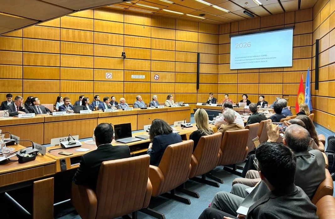 Kyrgyzstan promotes mountain agenda at Vienna roundtable