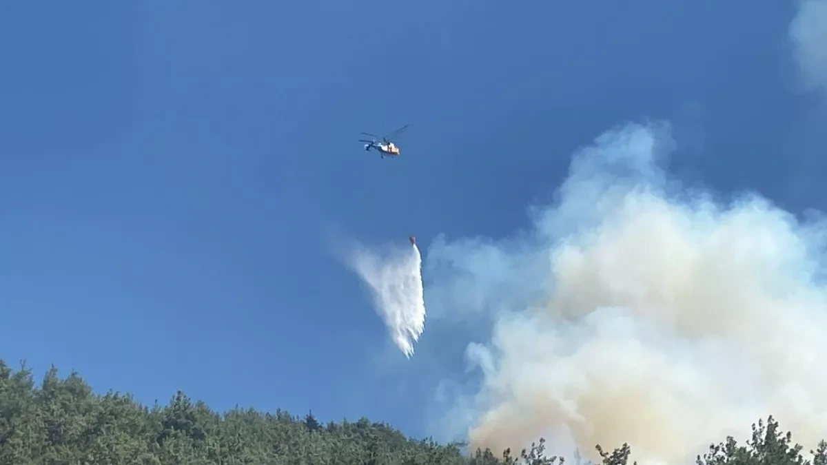 Turkish court jails man for forest fire that burned 92 hectares
