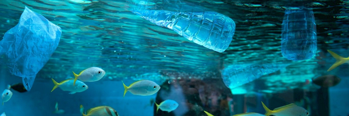 Ashgabat hosts Caspian waste roundtable with UN agencies