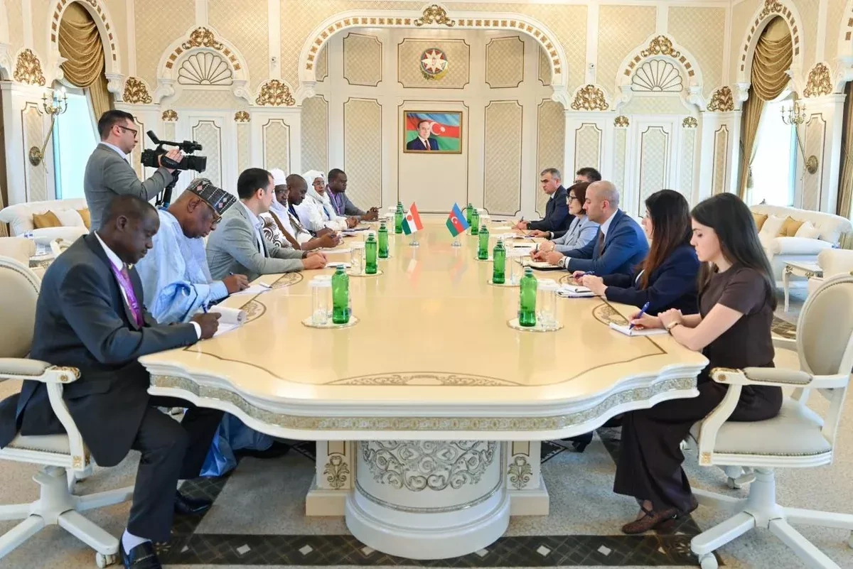 Niger says it seeks to deepen relations with Azerbaijan PHOTO