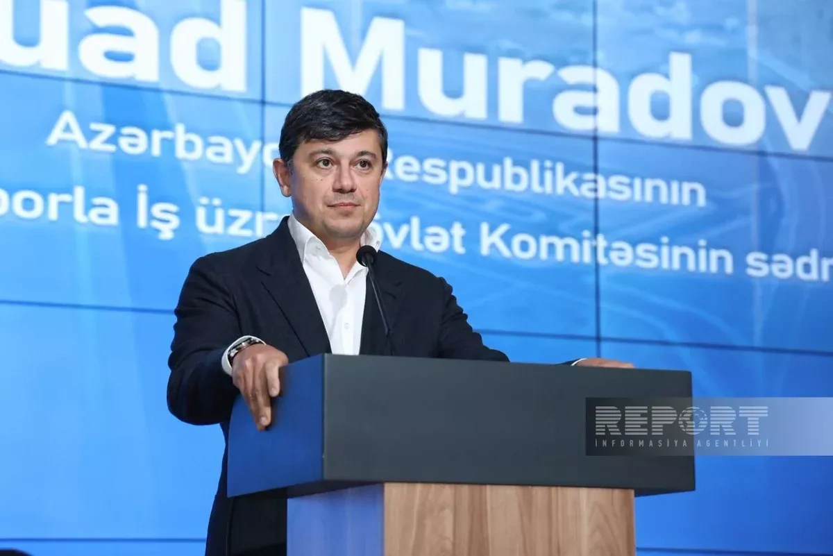 Baku welcomes constructive criticism, rejects smear campaigns – diaspora chief