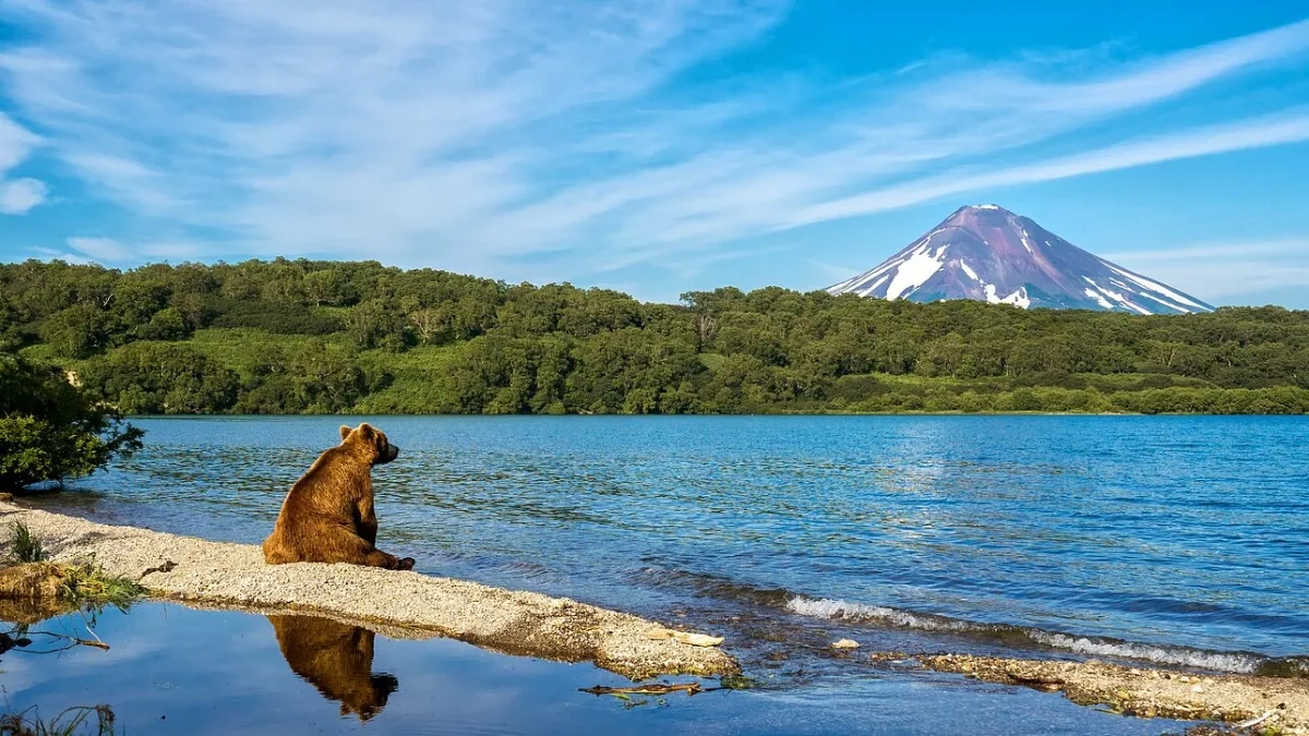Magnitude 5.7 earthquake hits off Kamchatka coast
