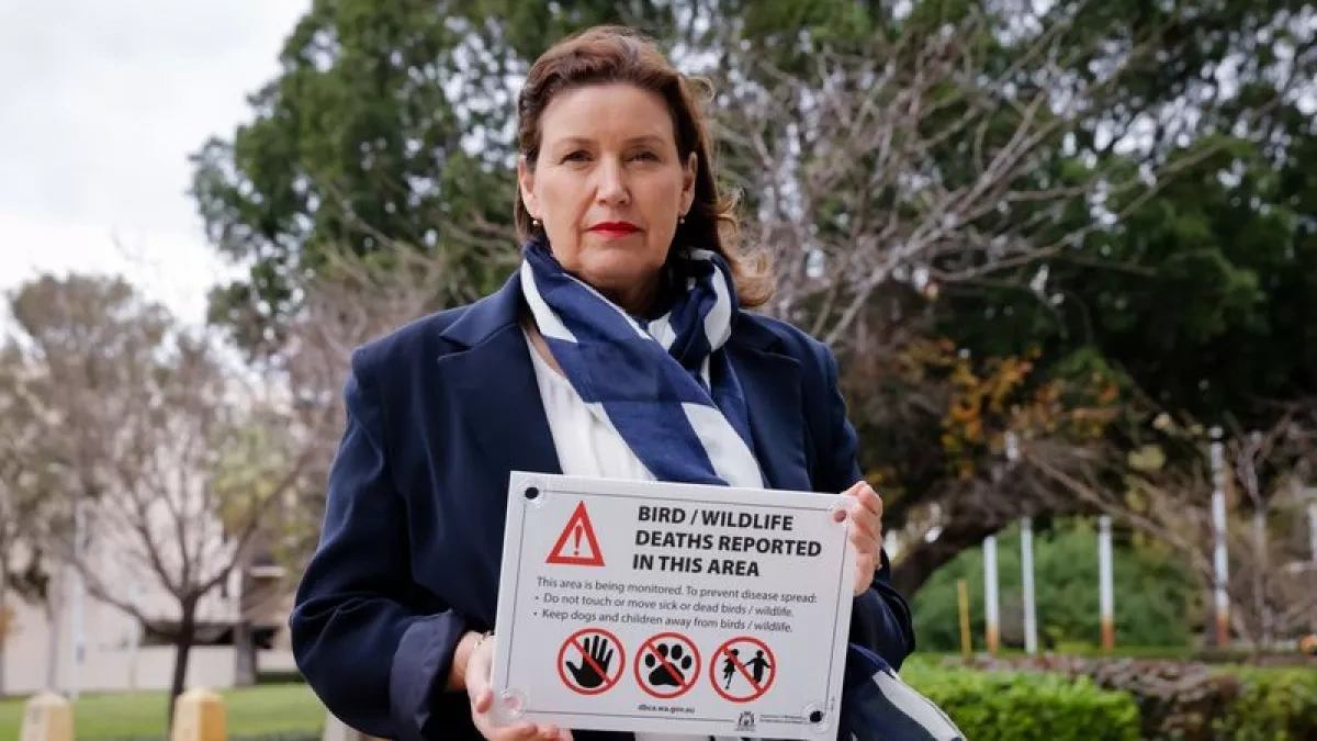 H5N1 bird flu detected on mainland Australia for first time