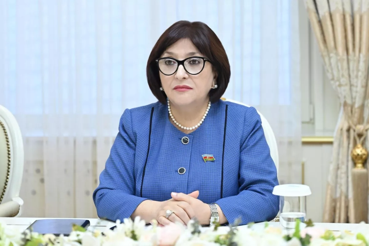 Azerbaijani speaker to visit Serbia for Non-Aligned Movement conference