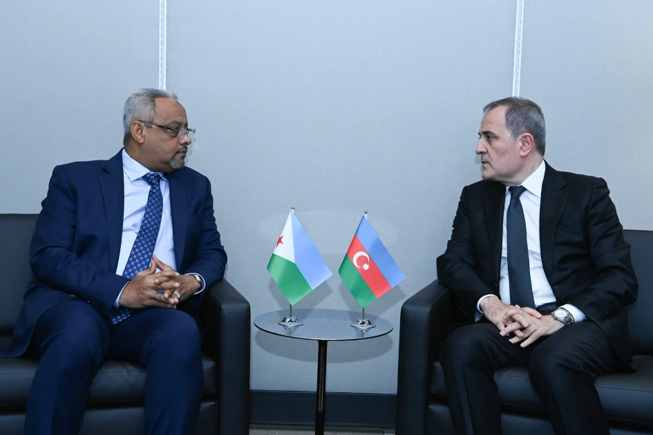 Azerbaijan, Djibouti review bilateral relations, regional security