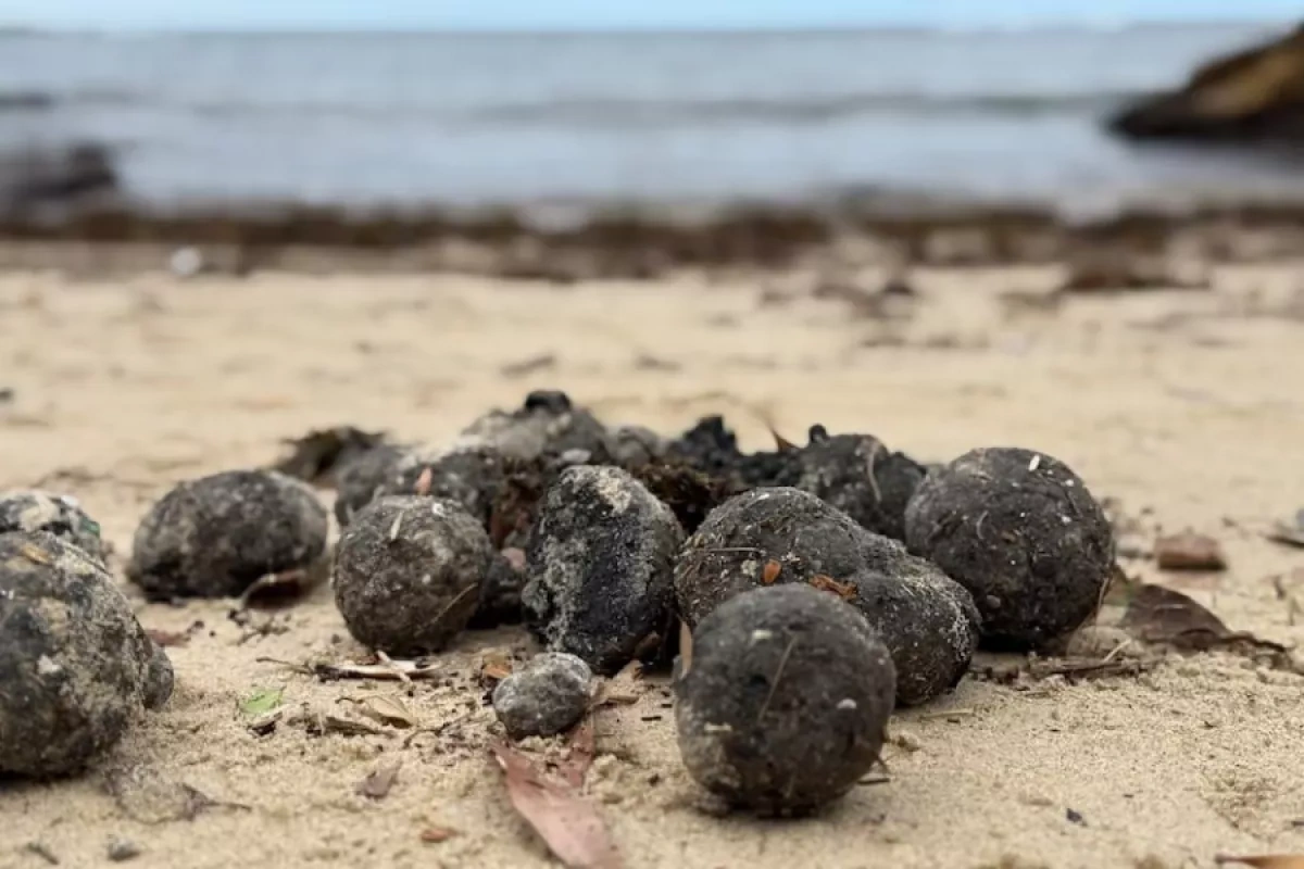 Australia unveils plan to stop mystery balls on Sydney beaches