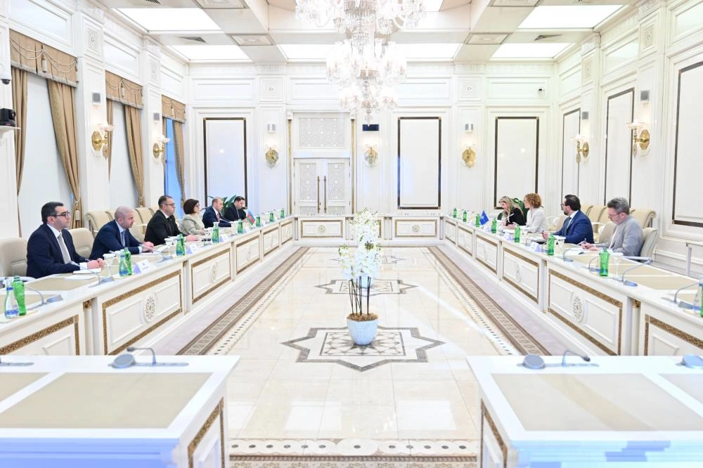 Speaker of Azerbaijani Parliament meets with deputy SecGen of NATO