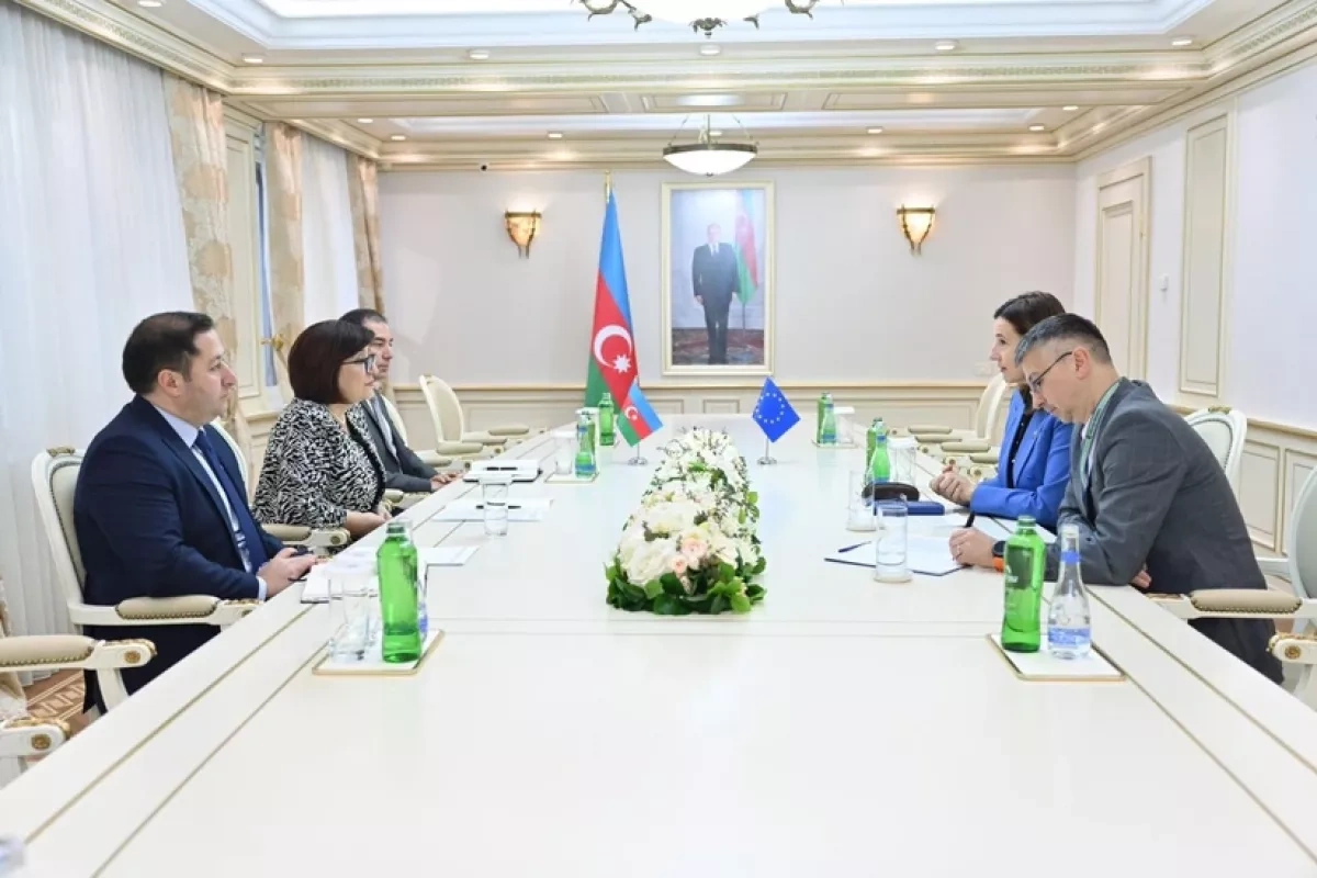 Azerbaijan's Speaker raises concerns over EU–Armenia agenda in talks with EU envoy