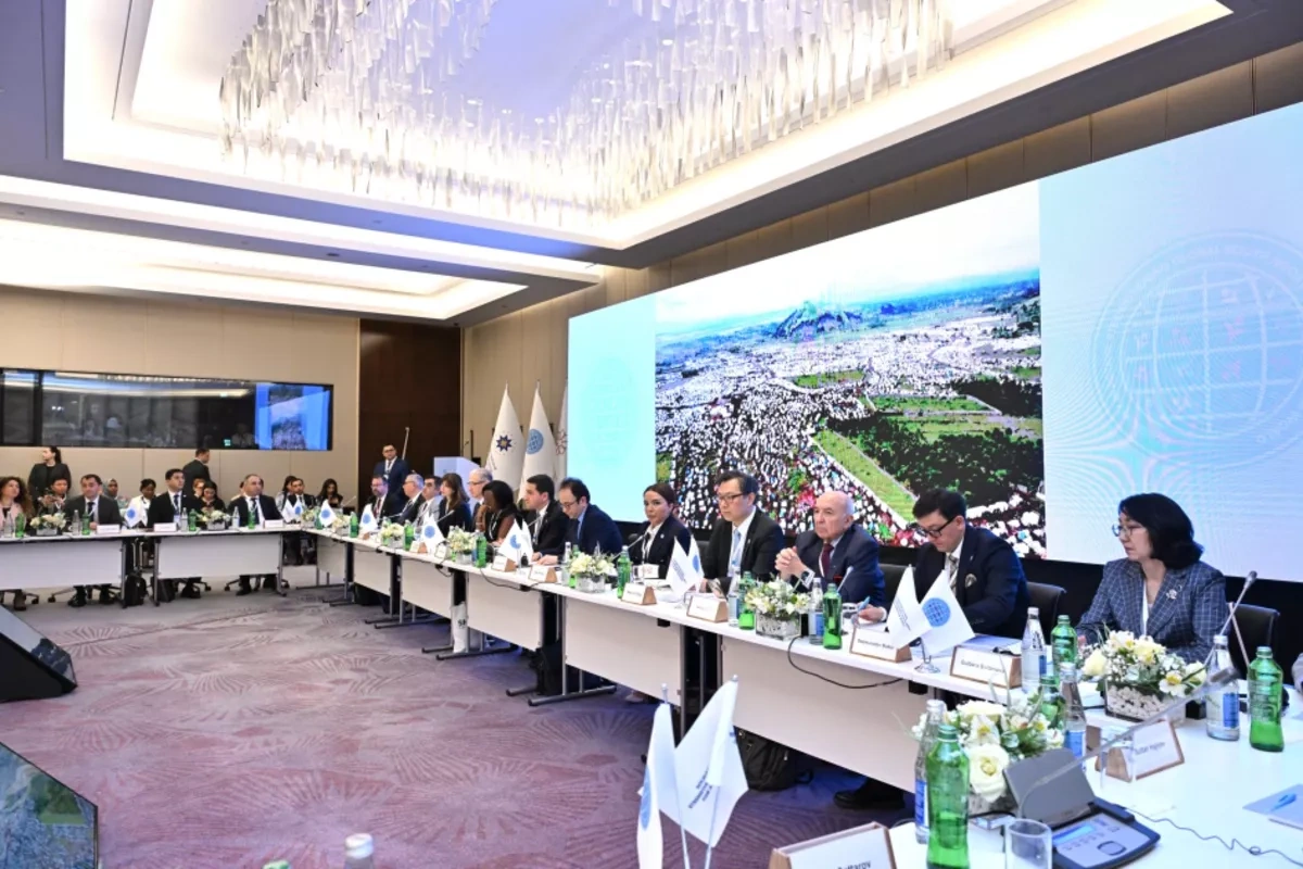 UN endorses Azerbaijan-led initiative linking NGOs across Global South PHOTO