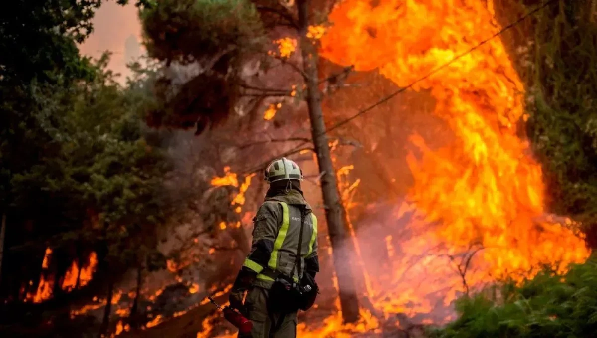 France’s summer wildfires cause nearly €500 million in damage