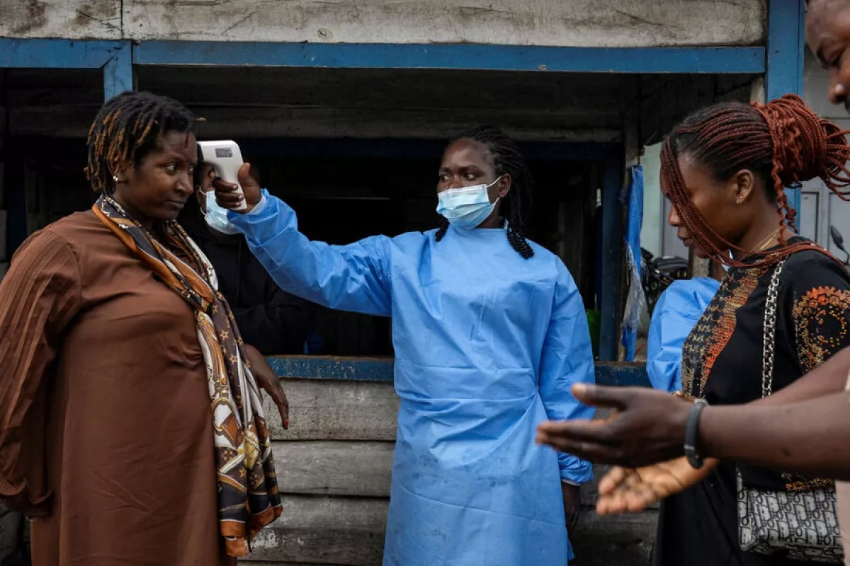 Researchers uncover how Ebola, hantavirus outsmart immune systems