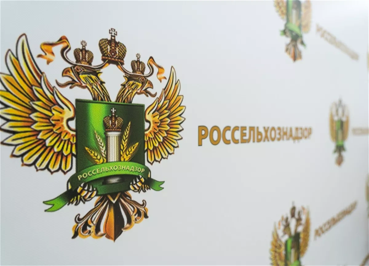 A pragmatic reset? What Pashinyan’s Russia visit signals