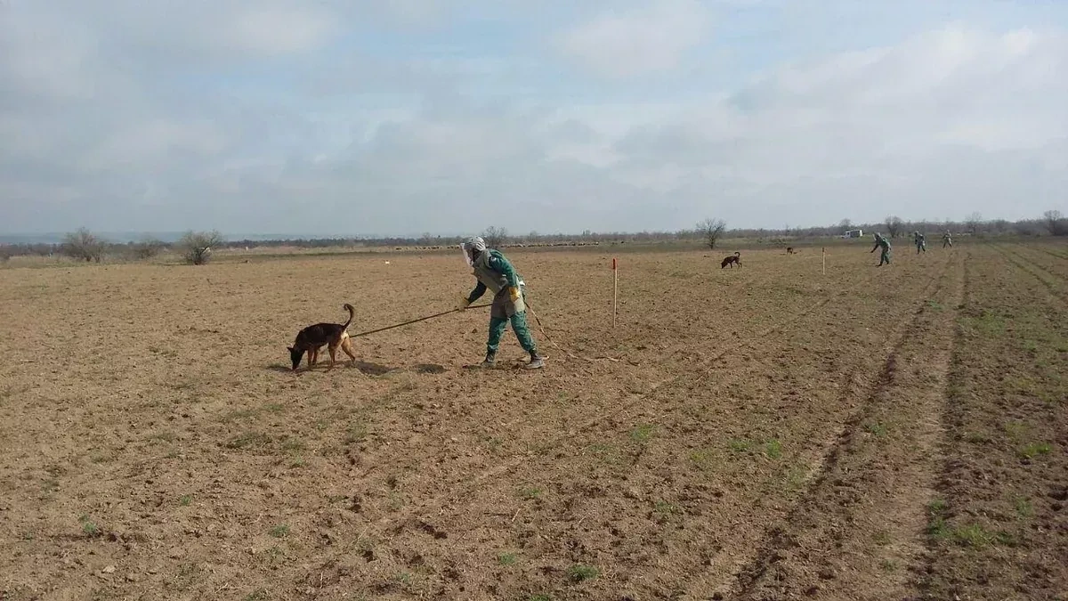 Mine detection dogs to support demining operations in Azerbaijan