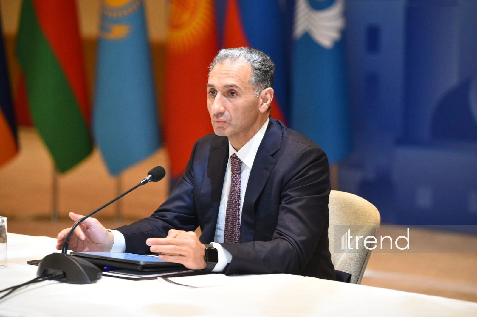 MyGov Business to be available for use by entrepreneurs in coming months - Azerbaijani minister