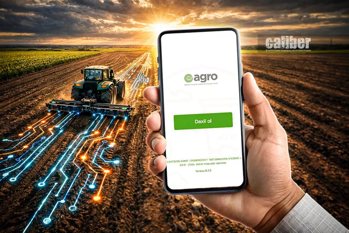 AI for Azerbaijan’s agriculture: transforming farms with data Overview by Khazar Akhundov