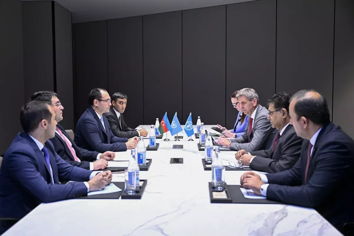 Azerbaijan, FAO discuss prospects for further cooperation PHOTO