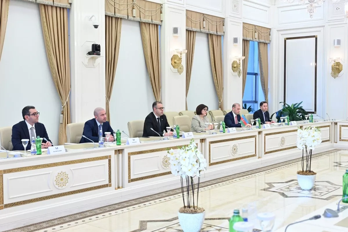 Azerbaijan, NATO discuss current, future cooperation, regional security PHOTO