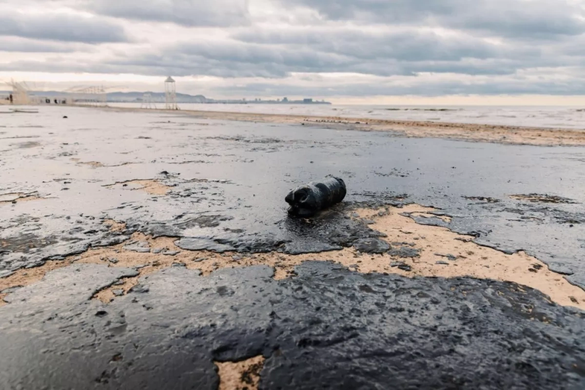 Oil pollution found on several Bulgarian Black Sea beaches