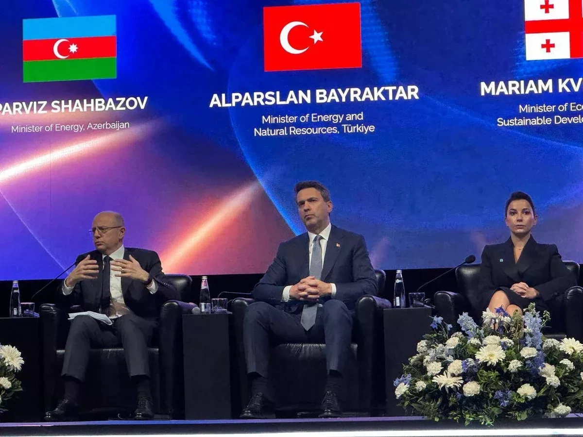 Minister: Zangezur route to cement Türkiye’s energy hub status PHOTO